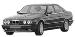 BMW E34 B3095 Fault Code